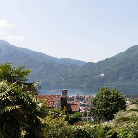 Mamma Ciccia Holiday Home - Mountains & Lake Mandello del Lario Eksteriør billede
